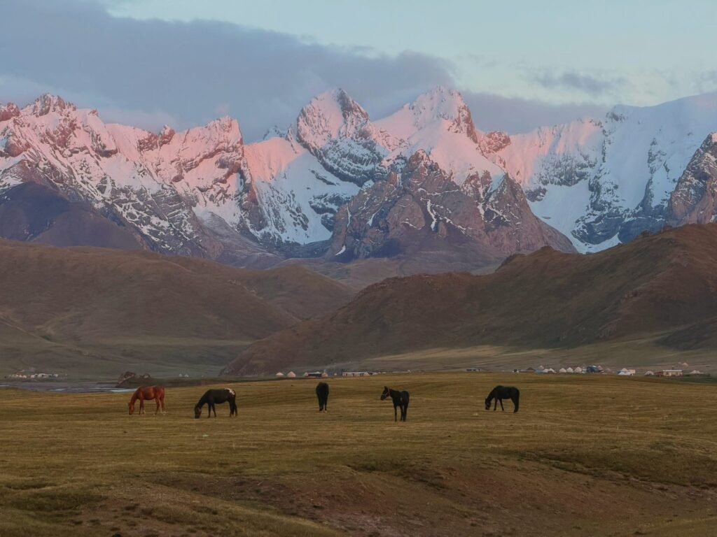 Naryn in a Day: Bazaar, Gorge and Salkyn-Tor